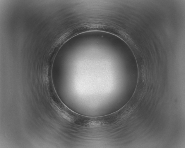 X0000056010490200508191305