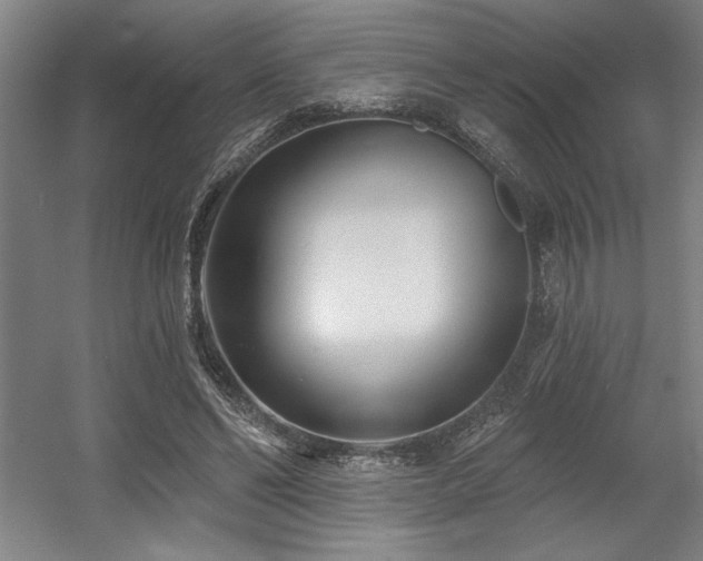 X0000056010494200508191305