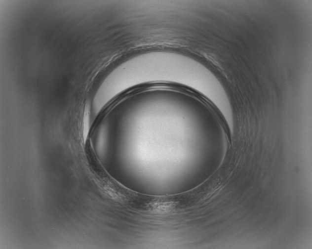 X0000056010495200508191305