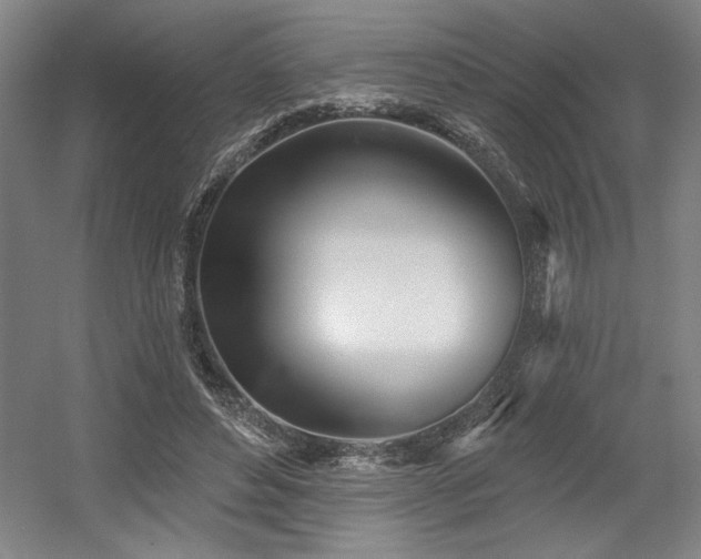 X0000056010496200508191305