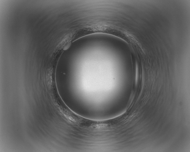 X0000056010501200508191305