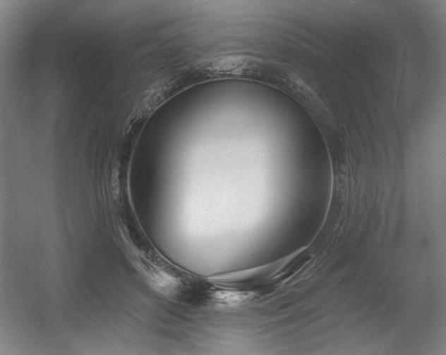 X0000056010504200508191305