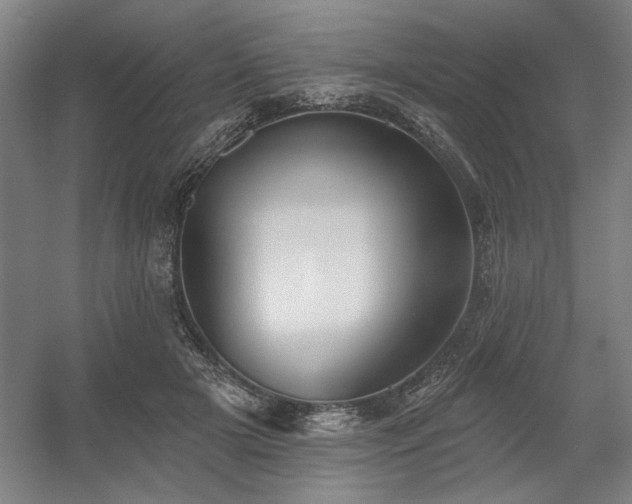 X0000056010505200508191305