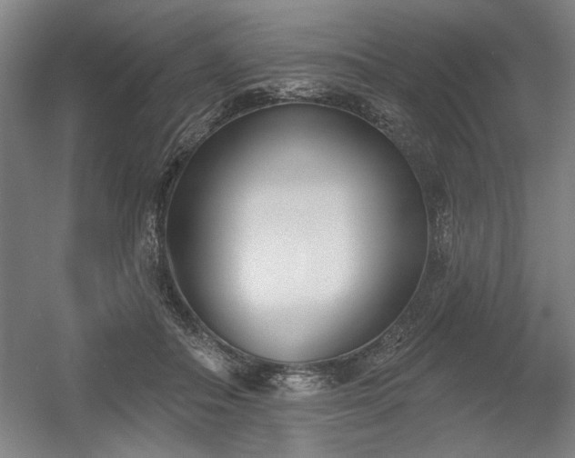 X0000056010506200508191305