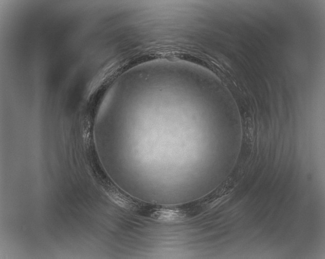 X0000056010507200508191305