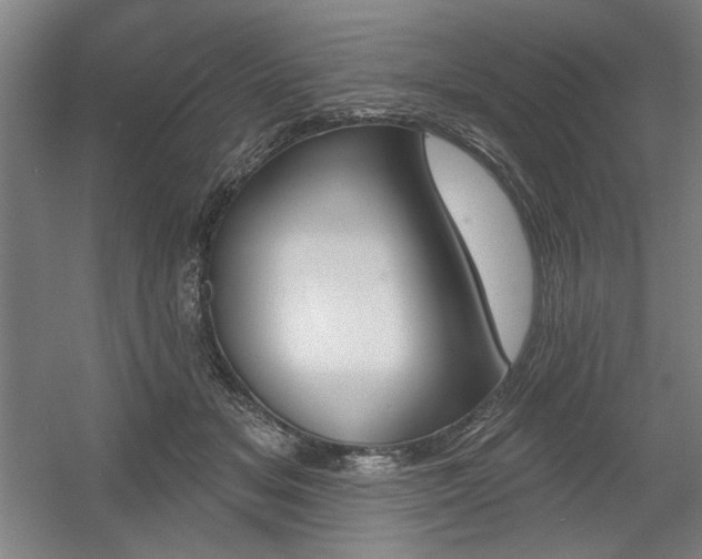 X0000056010509200508191305