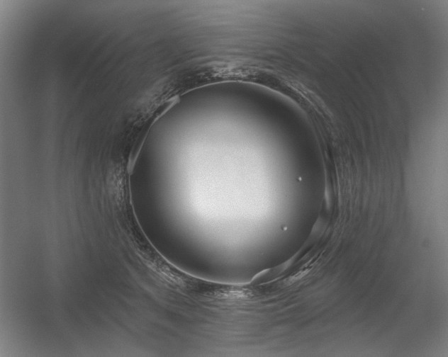 X0000056010513200508191305