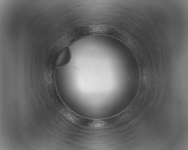 X0000056010514200508191305