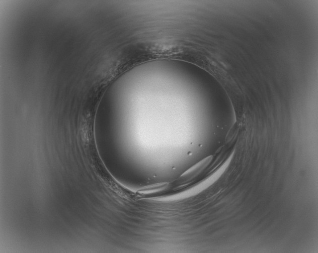X0000056010515200508191305