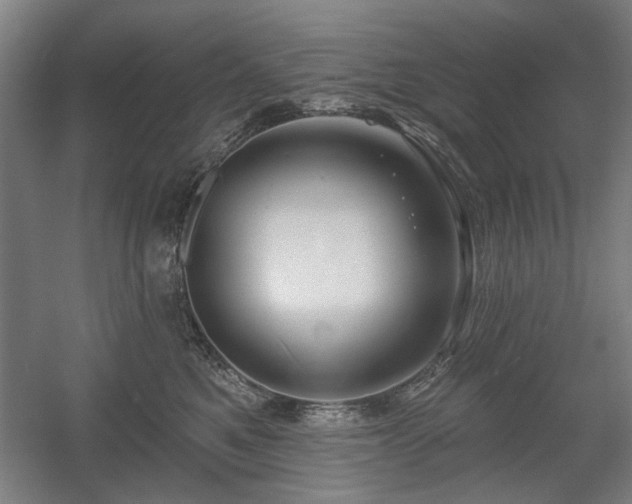 X0000056010521200508191304