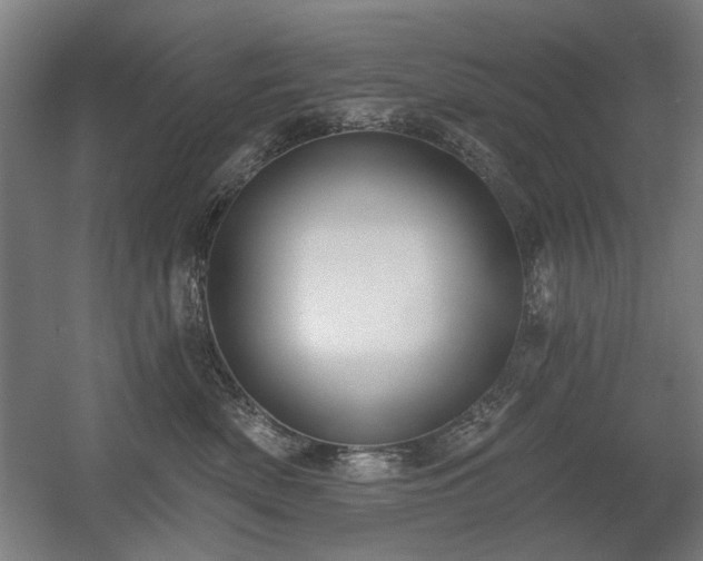 X0000056010522200508191304