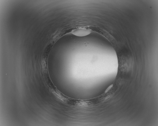X0000056010523200508191304