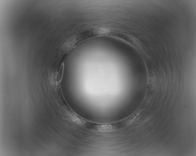 X0000056010525200508191304