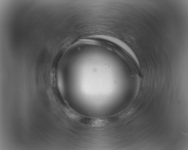 X0000056010527200508191304