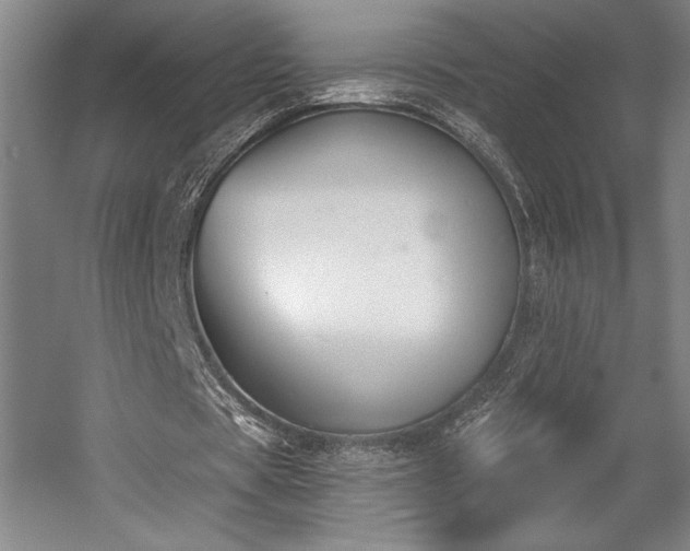 X0000056010529200508191304