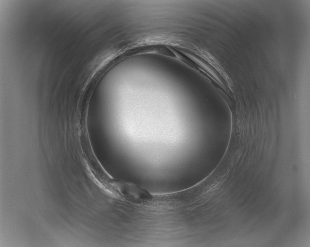 X0000056010530200508191304
