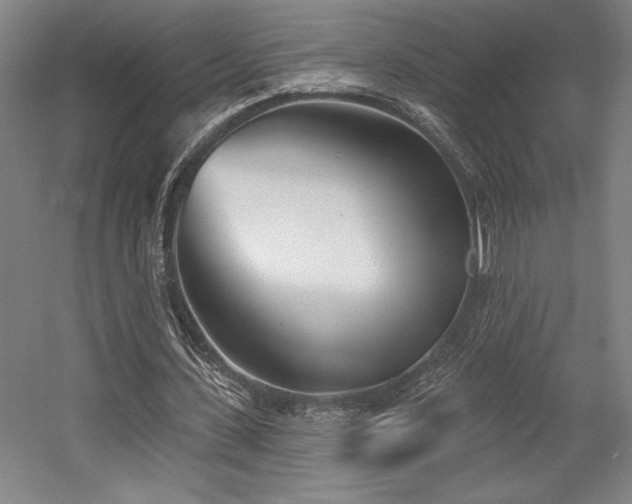 X0000056010531200508191304