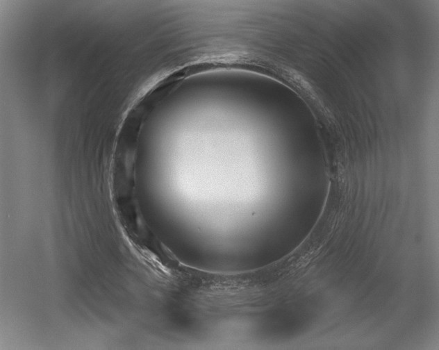 X0000056010532200508191304