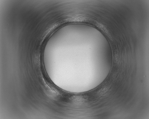 X0000056010534200508191304