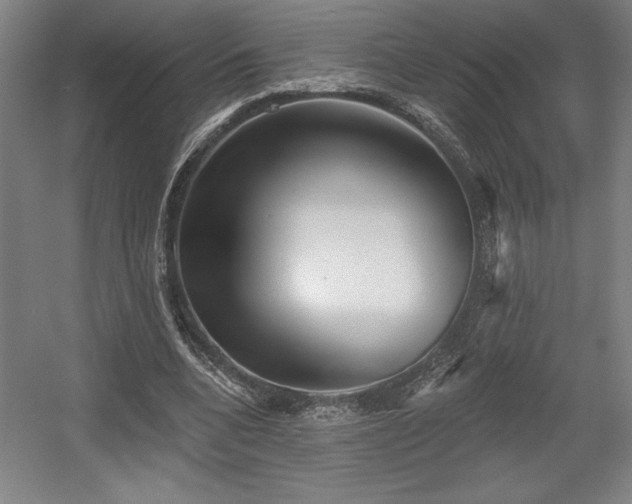 X0000056010536200508191304
