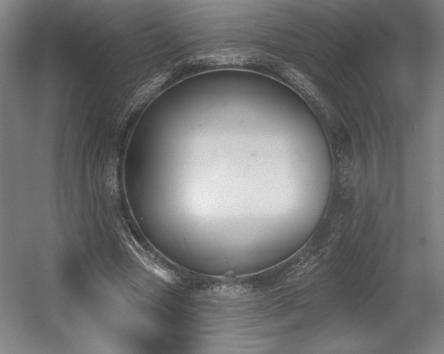X0000056010537200508191304