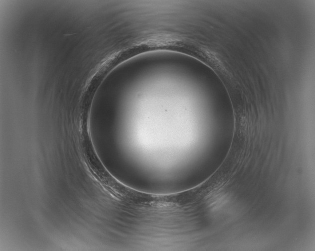 X0000056010539200508191304