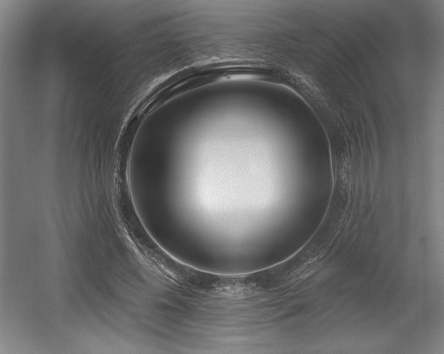 X0000056010540200508191304