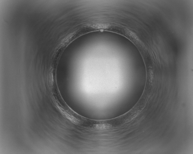 X0000056010541200508191304