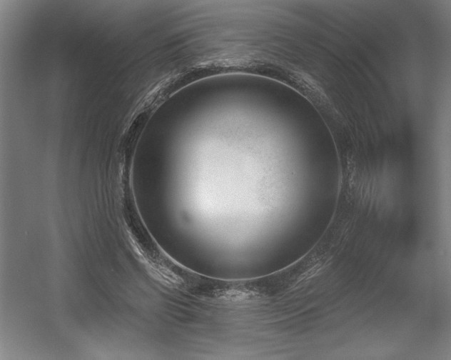X0000056010542200508191304