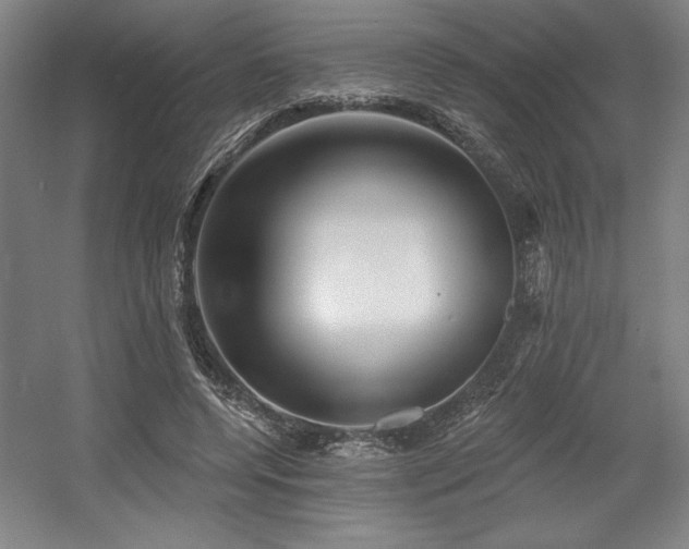 X0000056010544200508191304