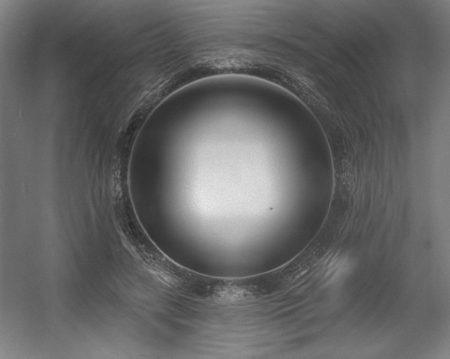 X0000056010547200508191304