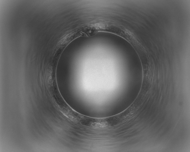X0000056010548200508191304
