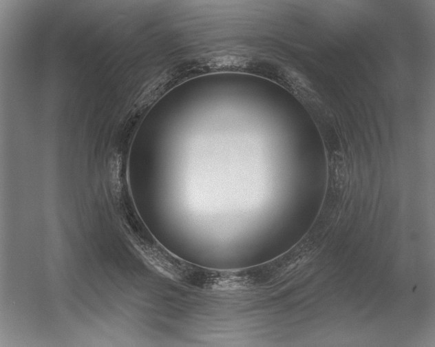 X0000056010550200508191304