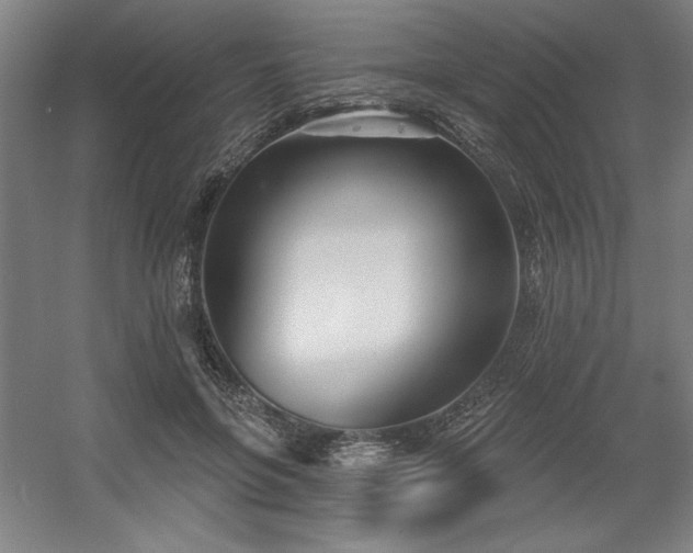 X0000056010551200508191304