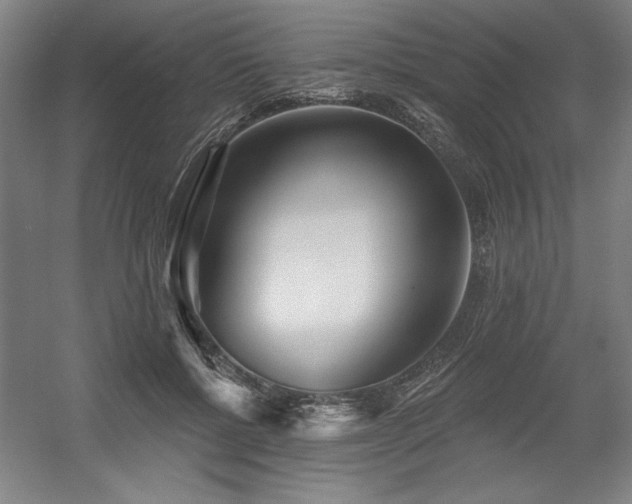 X0000056010552200508191304