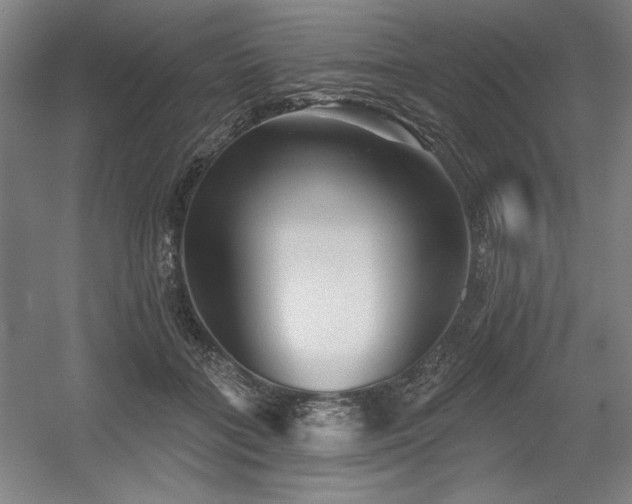 X0000056010555200508191304
