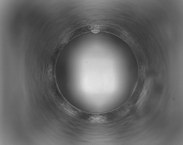 X0000056010557200508191304