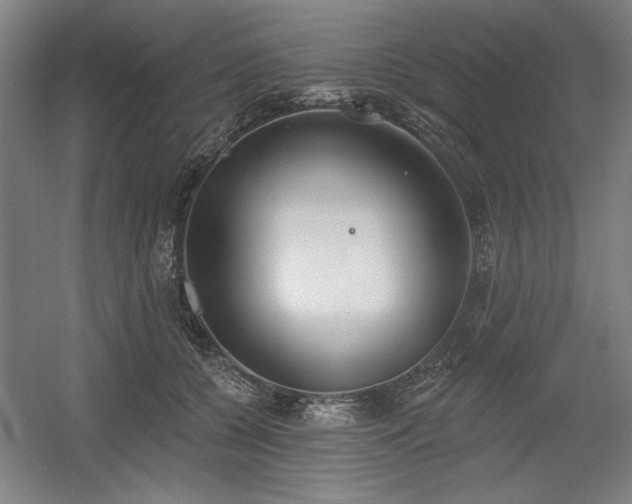 X0000056010560200508191304