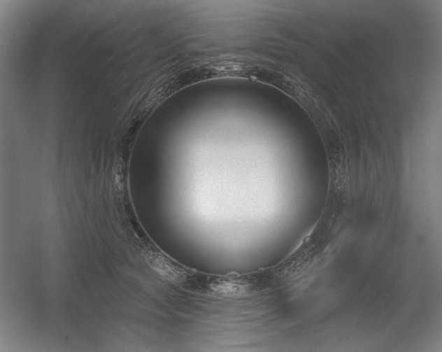 X0000056010561200508191304