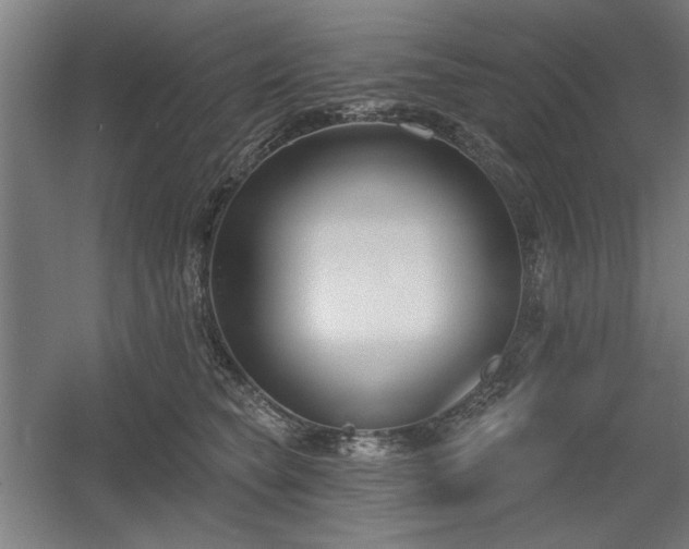 X0000056010565200508191304