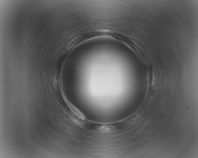 X0000056010566200508191304