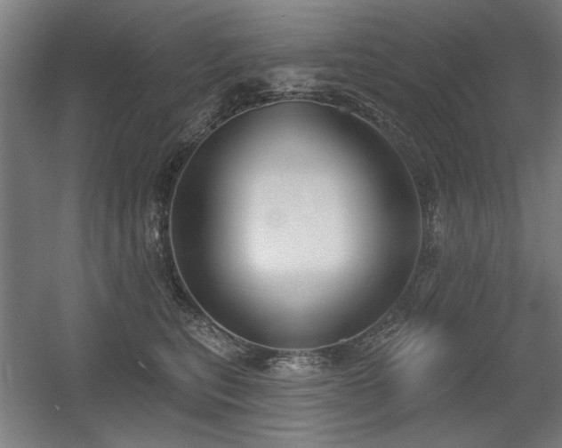 X0000056010567200508191304