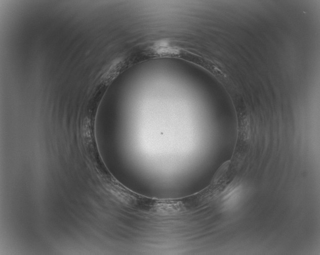 X0000056010571200508191304