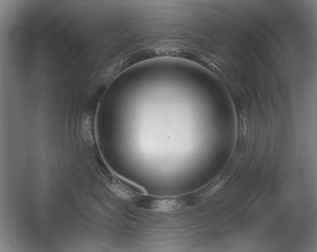 X0000056010575200508191304