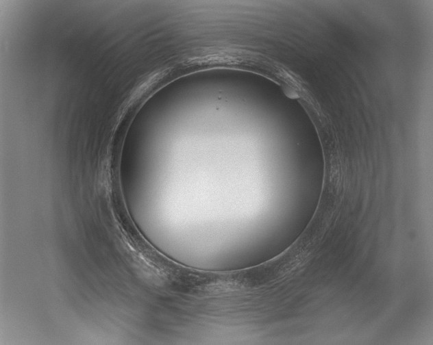 X0000056010578200508191303