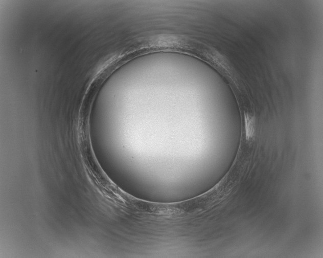 X0000056010579200508191303