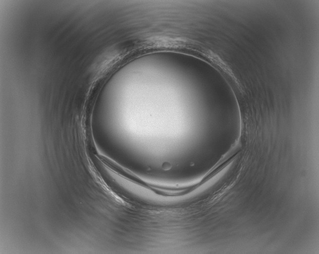 X0000056010581200508191303