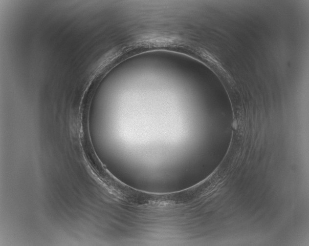 X0000056010582200508191303