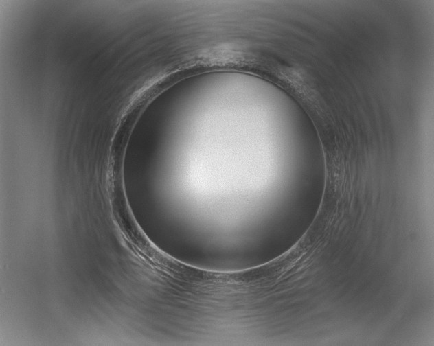 X0000056010583200508191303