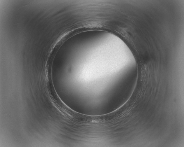 X0000056010584200508191303